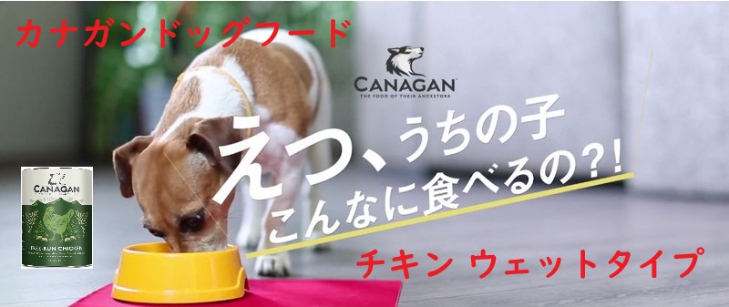 �y�J�i�K���h�b�O�t�[�h�z�`�L�� �E�F�b�g�^�C�v���T�C�g